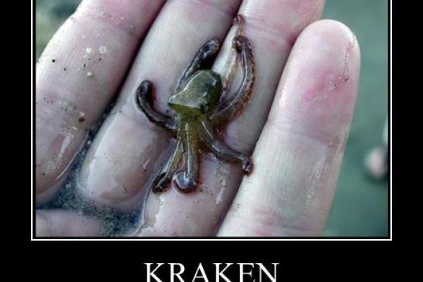 Kraken зеркало даркнет