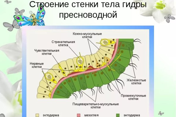 Вход в кракен чтобы купить меф