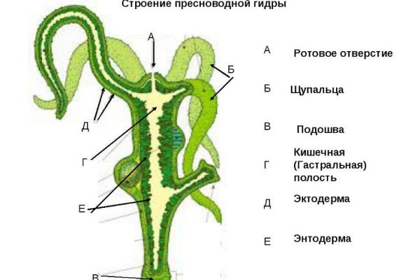 Кракен телегрф