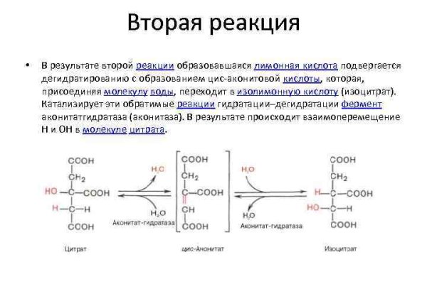 Кракен сайт kr2web in официальный ссылка