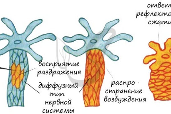 Kraken официальные зеркала