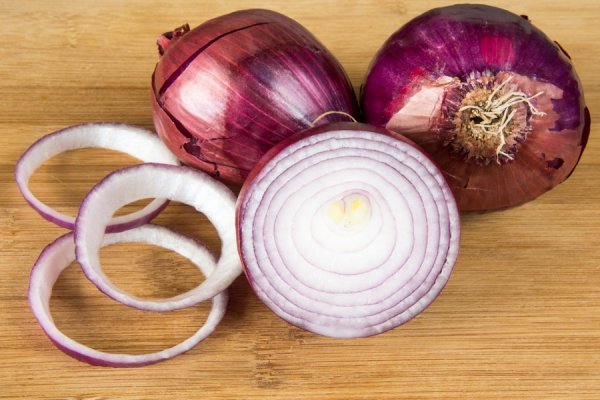 Kraken onion